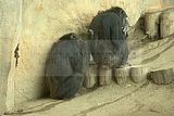 leipzig zoo-01_07_2011_zoo_allgemein_214